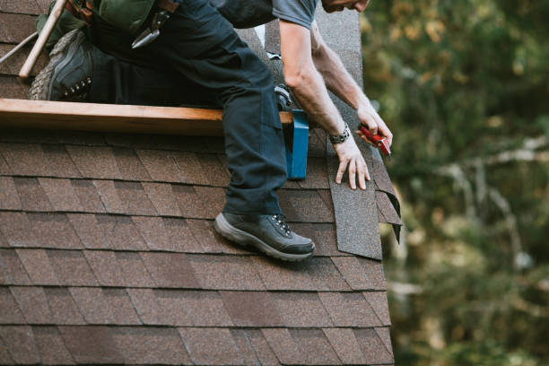 Best Roof Gutter Cleaning  in Bethel, OH